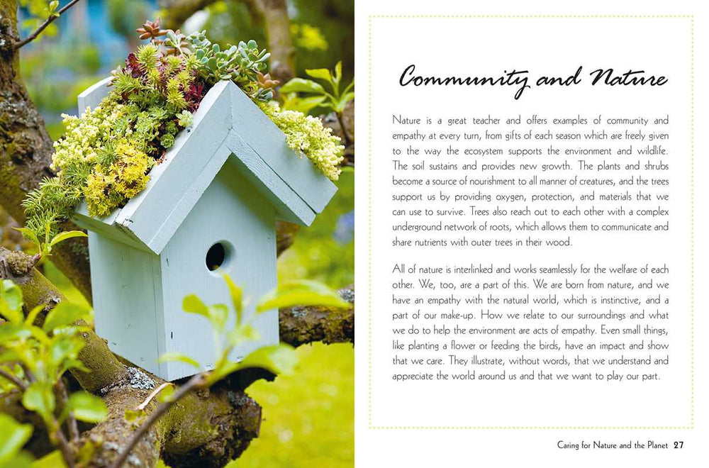 Green birdhouse with plants on a tree branch, surrounded by nature.