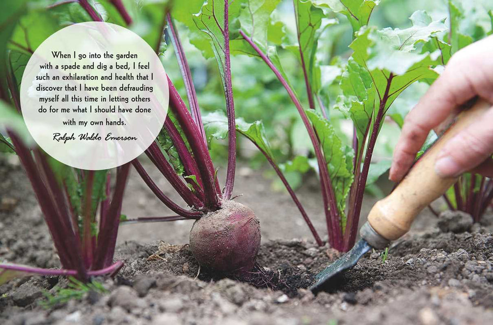 
                      
                        Mindful Gardening by CICO Books
                      
                    